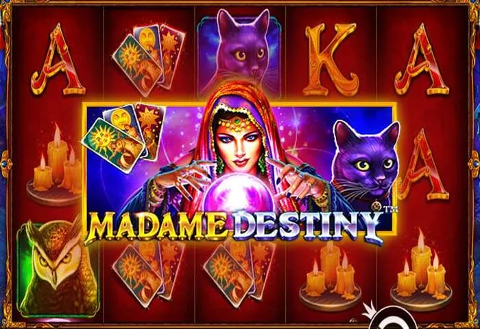 Download AW8 app for convenient casino action.